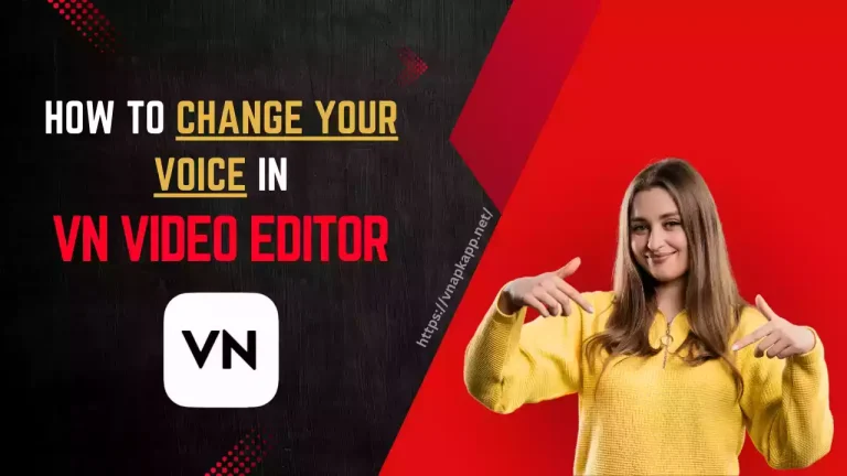 How to Change Your Voice in the VN Video Editor